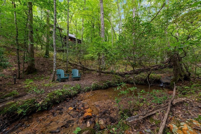 view of yard with a wooded view