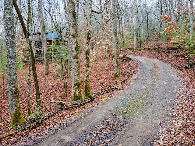 view of road with a view of trees