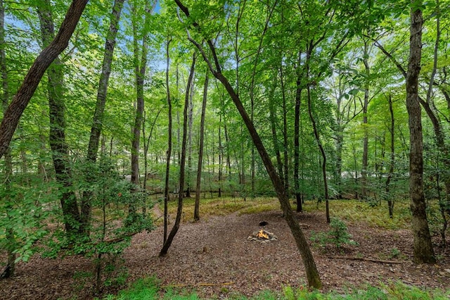 view of nature featuring a wooded view