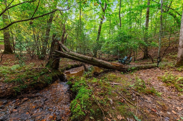 view of nature featuring a forest view