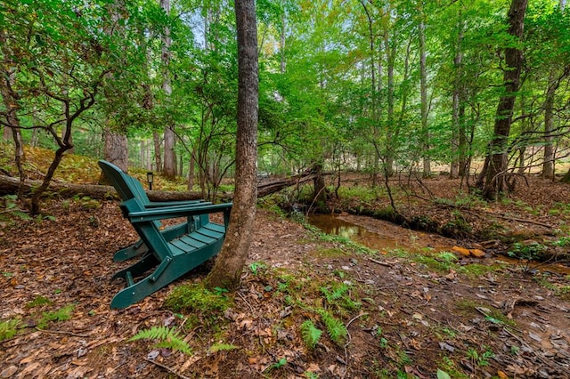 surrounding community featuring a wooded view