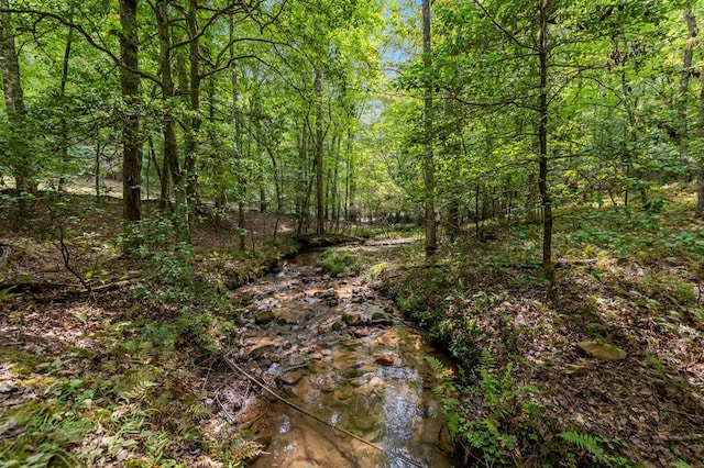 view of landscape with a forest view