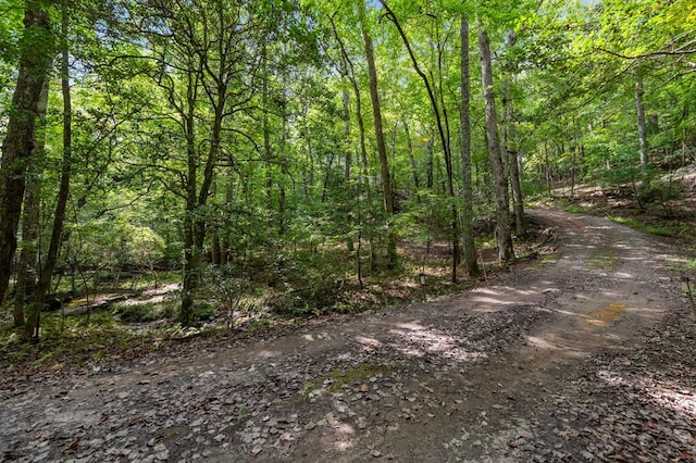 view of nature featuring a forest view