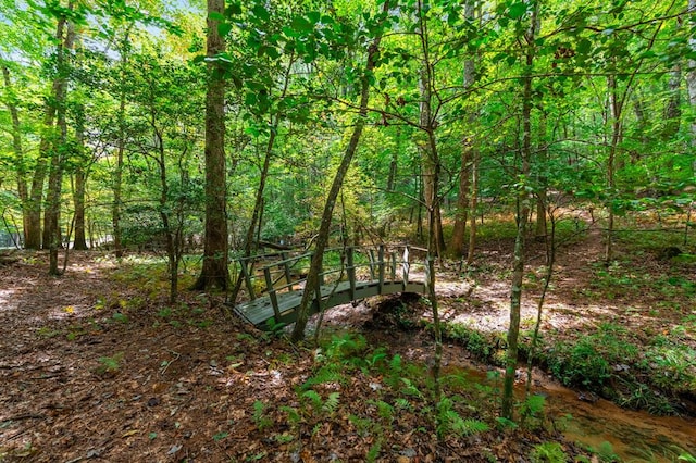 view of landscape with a wooded view