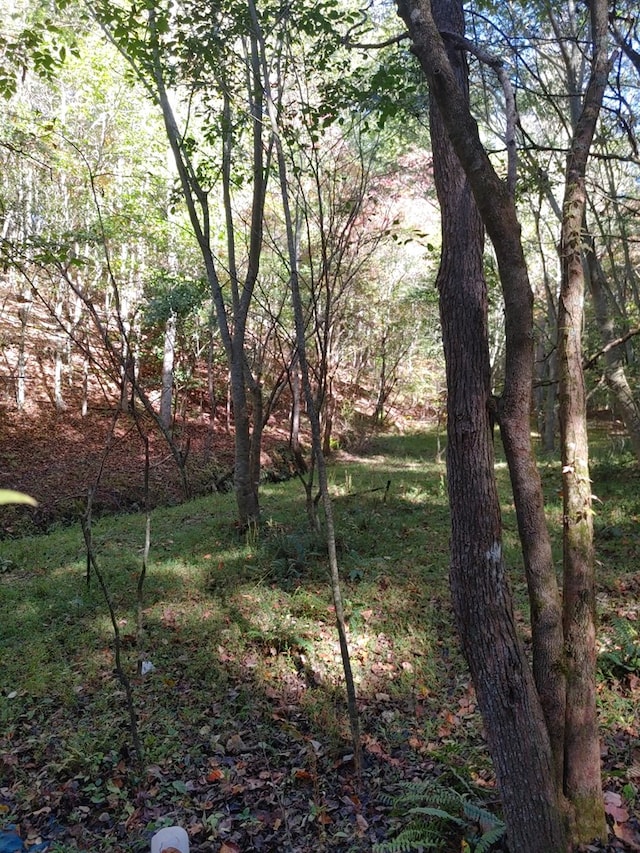 Listing photo 3 for 0 Kaleb Trl, Mineral Bluff GA 30559