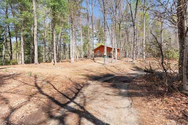 view of yard with a view of trees