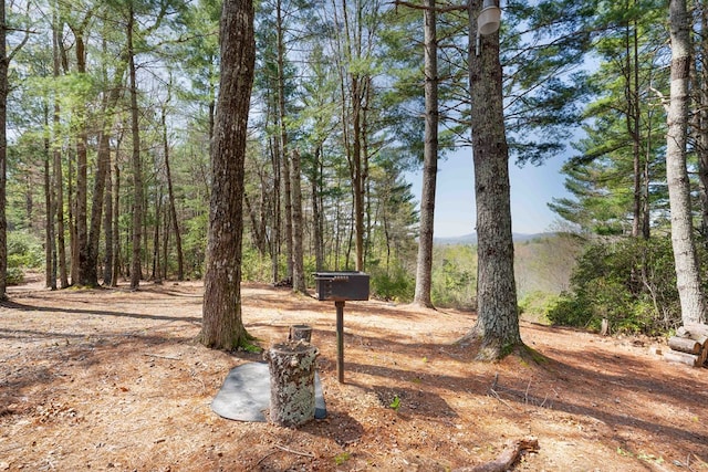 view of yard featuring a wooded view