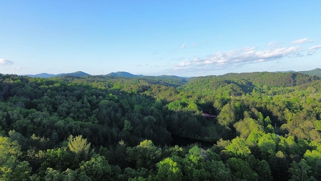 property view of mountains