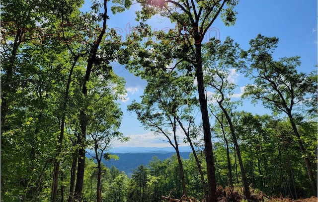 property view of water with a mountain view