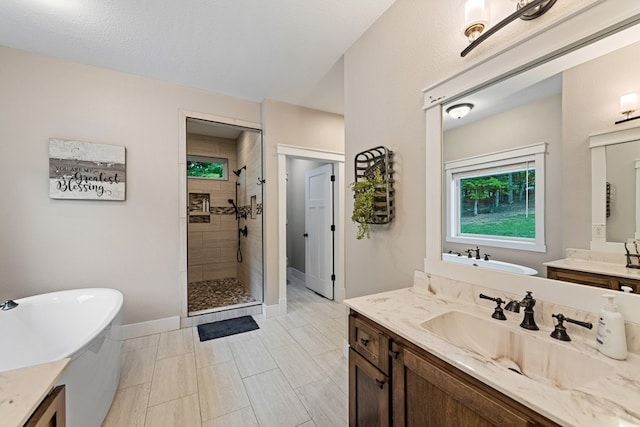 135 Adams Farm Dr, Blairsville, GA 30512 - full bathroom with a freestanding bath, a shower stall, vanity, and plenty of natural light