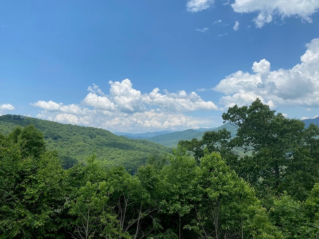 LT74/75 Butternut Ln, Hayesville, NC 28904