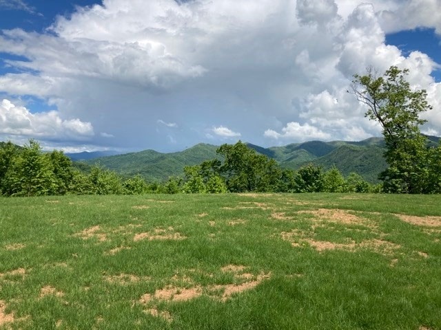 LT74/75 Butternut Ln, Hayesville, NC 28904