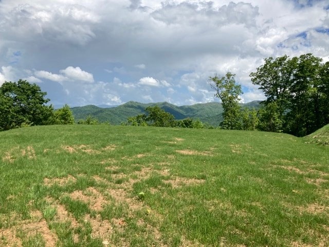 LT74/75 Butternut Ln, Hayesville, NC 28904