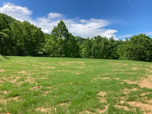 LT74/75 Butternut Ln, Hayesville, NC 28904