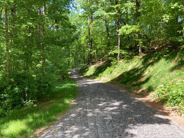 LT74/75 Butternut Ln, Hayesville, NC 28904