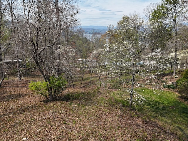 Listing photo 2 for LOT12 Chatuge Cove Dr, Hayesville NC 28904