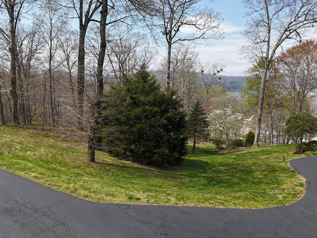 Listing photo 3 for LOT12 Chatuge Cove Dr, Hayesville NC 28904