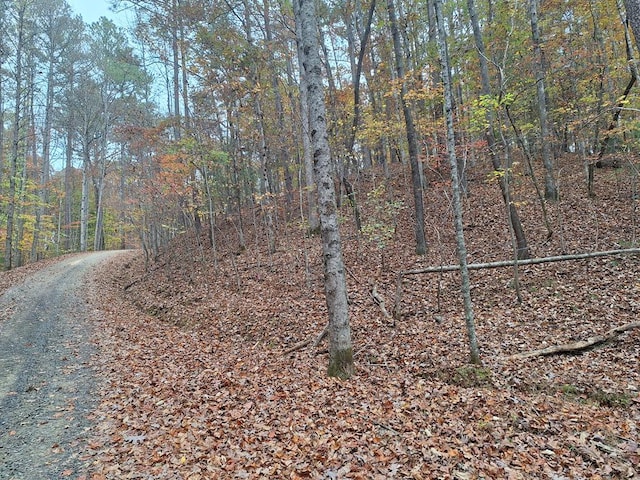 LT2909 Newton Ln, Ellijay GA, 30540 land for sale