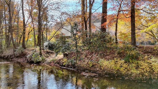 view of water feature