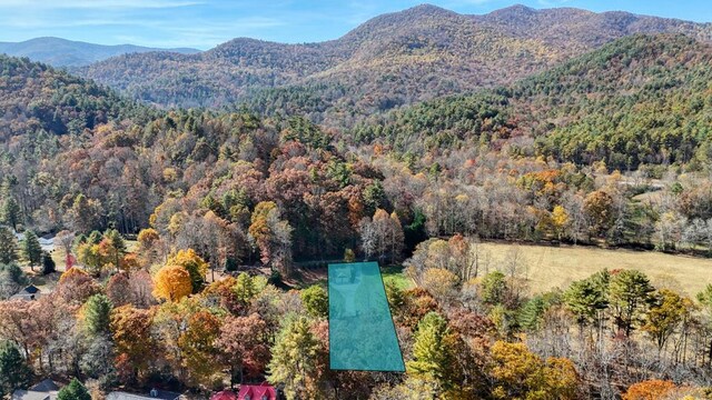 property view of mountains