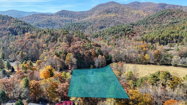 birds eye view of property with a mountain view