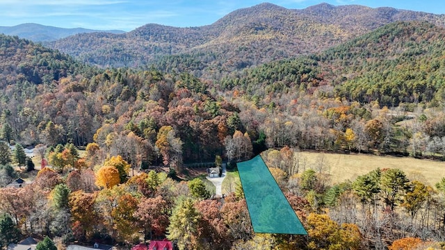 drone / aerial view with a mountain view