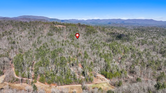 Listing photo 3 for 11.1AC Stevens Ridge Rd, Ellijay GA 30540