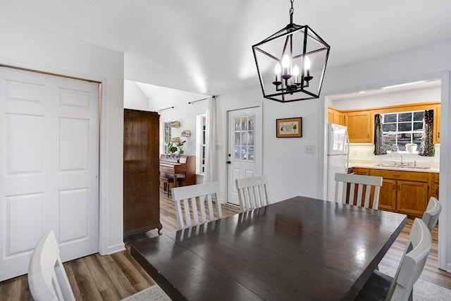 dining room with sink, an inviting chandelier, and hardwood / wood-style flooring