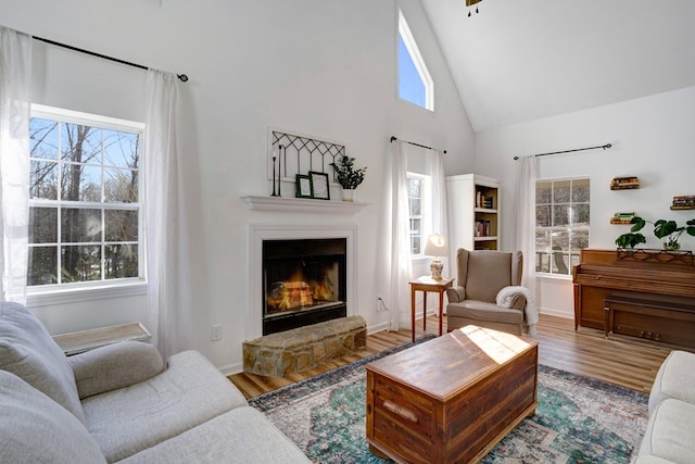 living room featuring a fireplace, hardwood / wood-style floors, and high vaulted ceiling