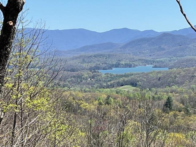 LOT11 Longview Dr, Hayesville, NC 28904