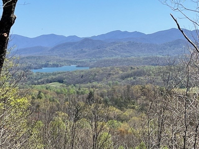 LOT11 Longview Dr, Hayesville, NC 28904