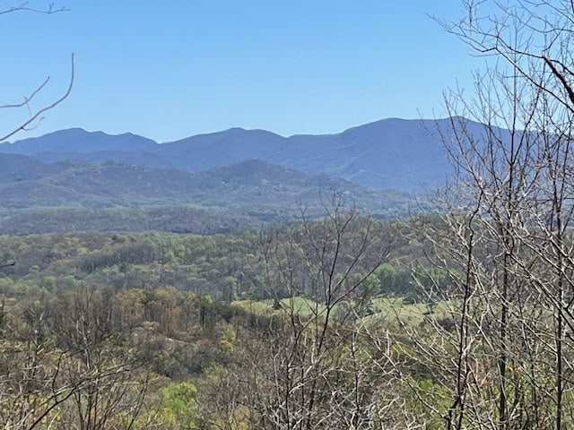 LOT11 Longview Dr, Hayesville, NC 28904