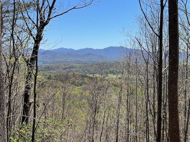LOT11 Longview Dr, Hayesville, NC 28904