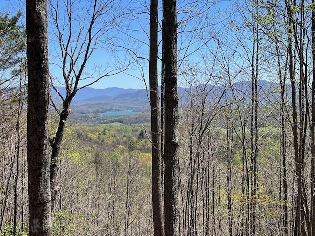 LOT11 Longview Dr, Hayesville, NC 28904