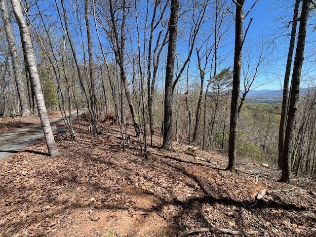 LOT11 Longview Dr, Hayesville, NC 28904