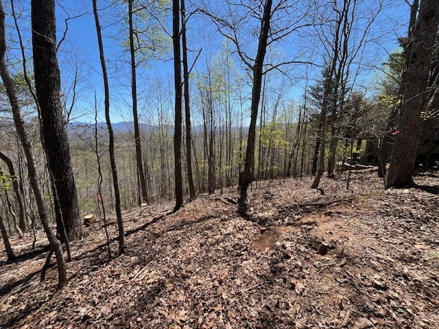 LOT11 Longview Dr, Hayesville, NC 28904