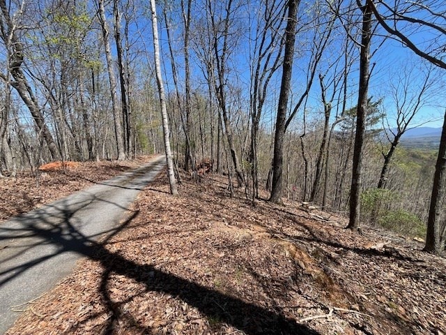 LOT11 Longview Dr, Hayesville, NC 28904