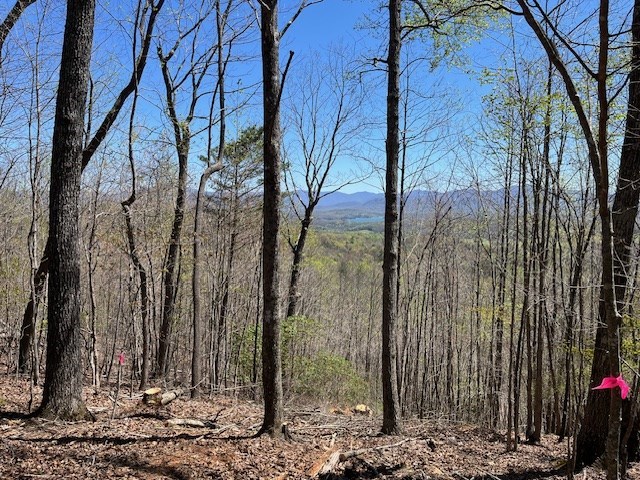 LOT11 Longview Dr, Hayesville, NC 28904