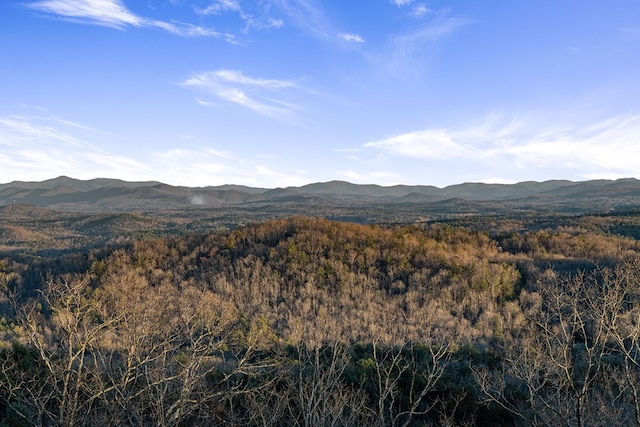 view of mountain feature