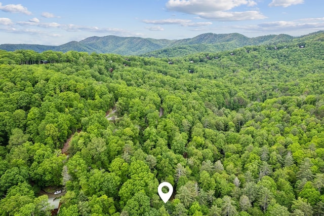 85 Clear Lake Ct, Ellijay, GA 30540 - aerial view of a forest and a mountain backdrop
