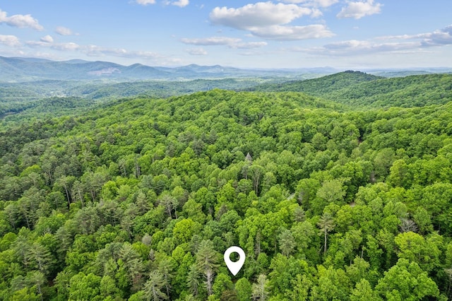 85 Clear Lake Ct, Ellijay, GA 30540 - drone / aerial view of a forest and mountains