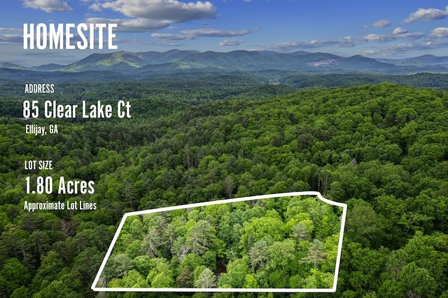 85 Clear Lake Ct, Ellijay, GA 30540 - aerial view of property and surrounding area featuring a heavily wooded area, a mountain backdrop, and property parcel outlined