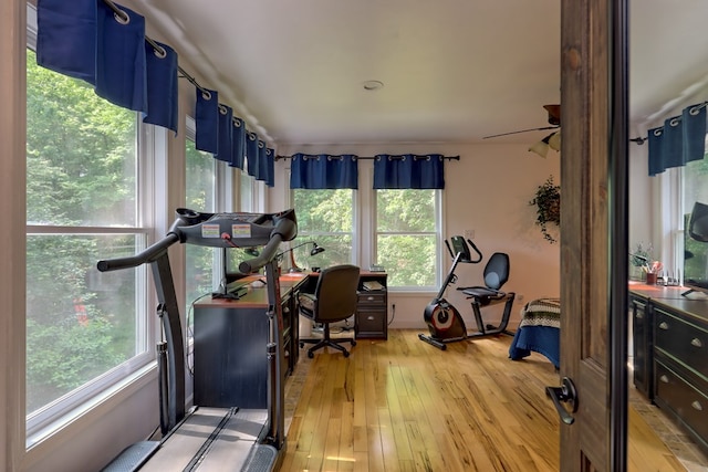 workout area with ceiling fan, light hardwood / wood-style flooring, and plenty of natural light