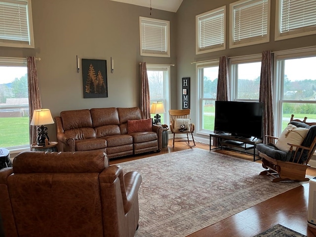 24 Pauls Ct, Blairsville, GA 30512 - living room with high vaulted ceiling and wood finished floors
