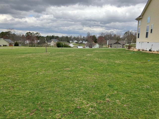 24 Pauls Ct, Blairsville, GA 30512 - view of yard