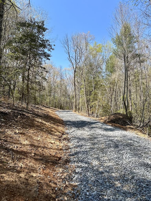 2.40 E New Hope Rd E, Ellijay, GA 30536