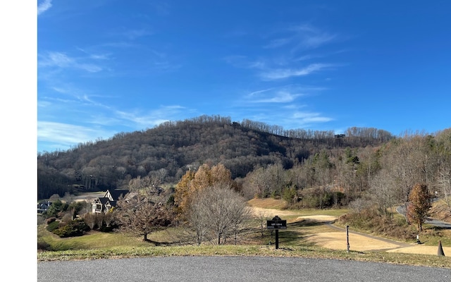 134A Mountain Harbour Dr, Hayesville NC, 28904 land for sale