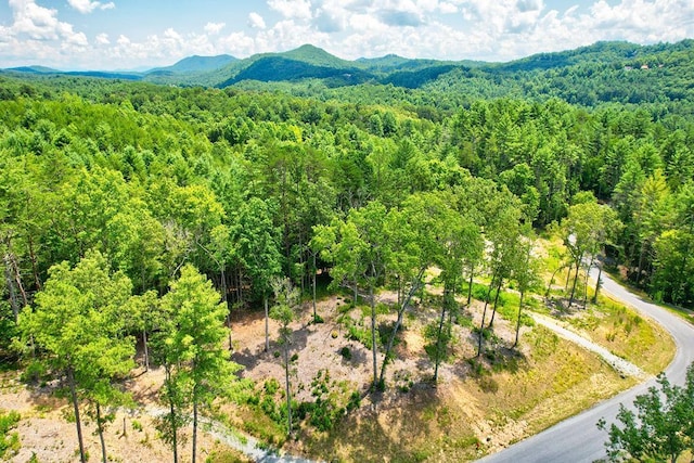 bird's eye view with a mountain view