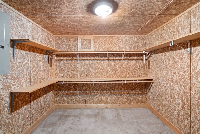 walk in closet featuring carpet floors