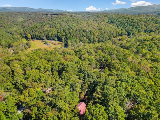 birds eye view of property featuring a mountain view